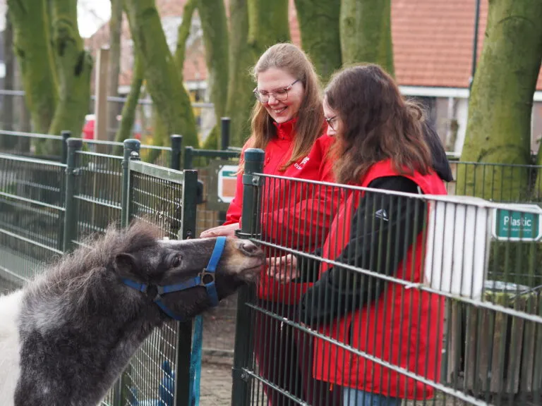 twee vrijwilligers met pony